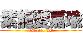 紫龍愛嘉瑜 (CK love JY)