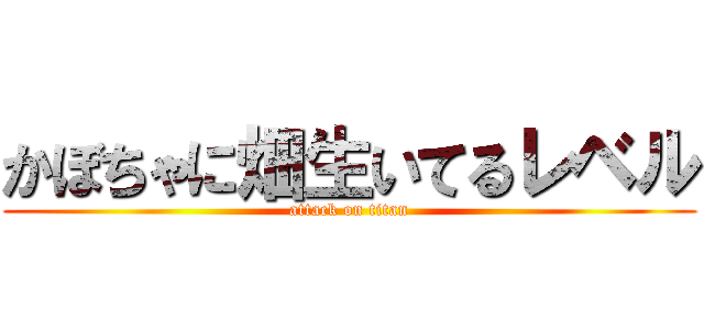 かぼちゃに畑生いてるレベル (attack on titan)