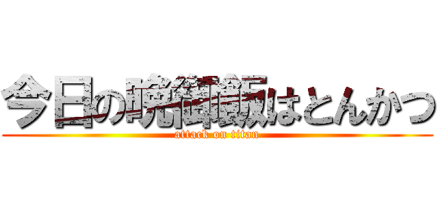 今日の晩御飯はとんかつ (attack on titan)