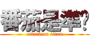 番茄是準烘 (attack on titan)