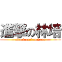 進撃の林培 (attack on lamchung)