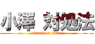 小澤 対処法 (attack on titan)