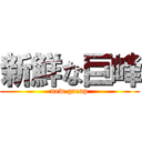 新鮮な巨峰 (new greap)