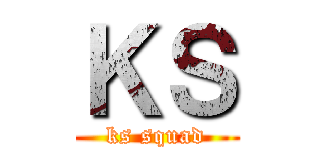 ＫＳ (ks squad)