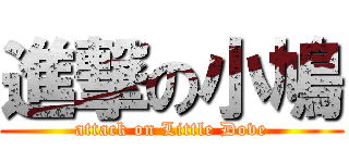 進撃の小鳩 (attack on Little Dove)