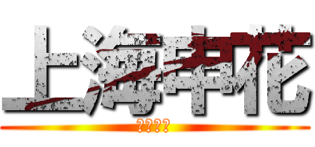 上海申花 (上海申花)