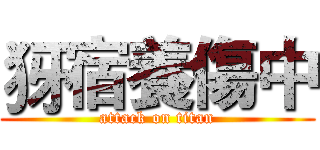犽宿養傷中 (attack on titan)