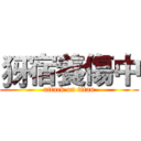 犽宿養傷中 (attack on titan)