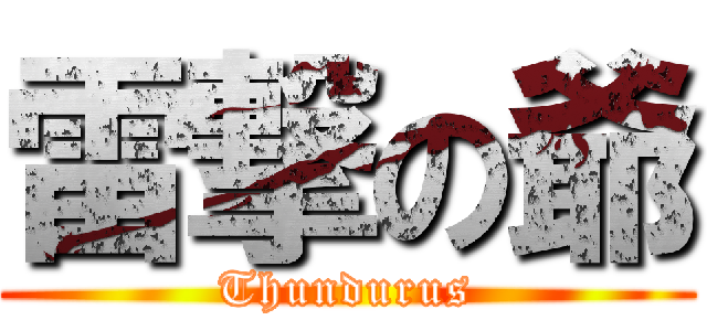 雷撃の爺 (Thundurus)