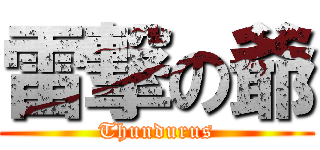 雷撃の爺 (Thundurus)
