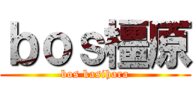 ｂｏｓ橿原 (bos kasihara)