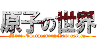 原子の世界 (Nano-Engineering Laboratory)