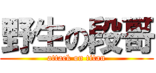 野生の段哥 (attack on titan)