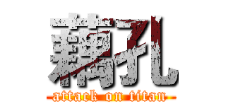 藕孔 (attack on titan)