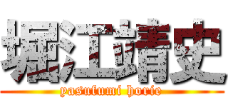 堀江靖史 (yasufumi horie)