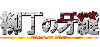 柳丁の牙縫 (attack on titan)