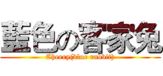 藍色の客家兔 (Cherry(blue rabbit))