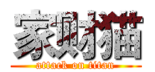 家财猫 (attack on titan)