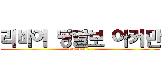 리바이 땅딸보 아커만 (too small..)