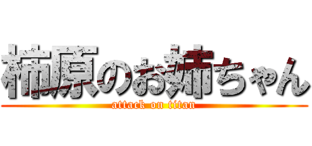 柿原のお姉ちゃん (attack on titan)