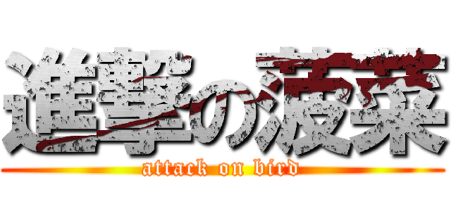 進撃の菠菜 (attack on bird)