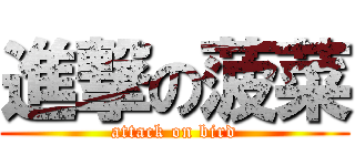進撃の菠菜 (attack on bird)