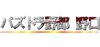 パズドラ野郎 野口 ()