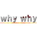 ｗｈｙ ｗｈｙ (attack on titan)