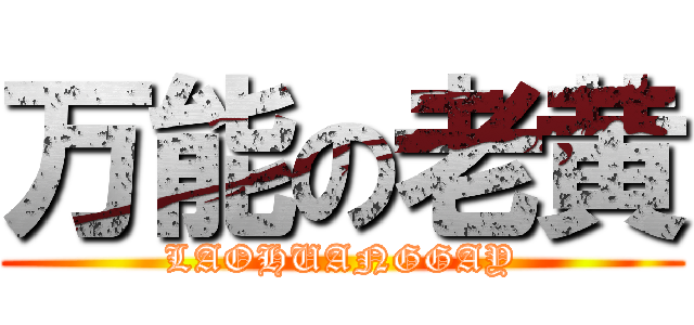 万能の老黄 (LAOHUANGGAY)
