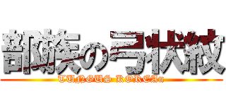 部族の弓状紋 (TUNGUS KOREAn)
