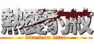 熱愛豹紋 (attack on titan)