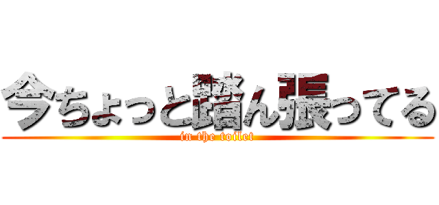 今ちょっと踏ん張ってる (in the toilet)