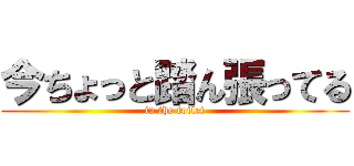 今ちょっと踏ん張ってる (in the toilet)