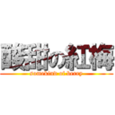 酸甜の紅梅 (somekind of berry)