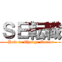 ＳＥ転職 ( How to Change Career)