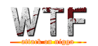 ＷＴＦ (attack on nigga)