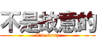 不是故意的 (I\'m sorry)