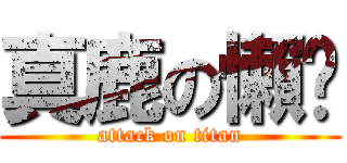 真鹿の懶趴 (attack on titan)