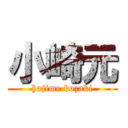 小崎元 (hajime kozaki)