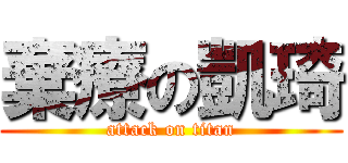 棄療の凱琦 (attack on titan)