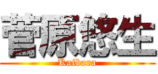 菅原悠生 (Kaibara)