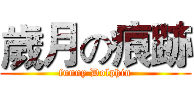 歲月の痕跡 (funny Dolphin)