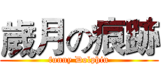 歲月の痕跡 (funny Dolphin)