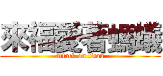 來福愛著螞蟻 (attack on titan)