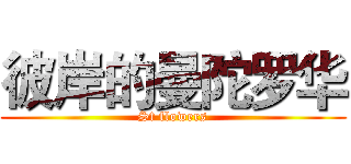 彼岸的曼陀罗华 (St flowers)