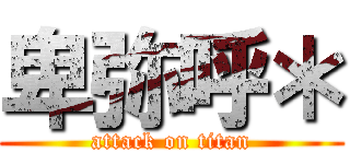 卑弥呼＊ (attack on titan)