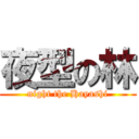 夜型の林 (night the Hayashi)