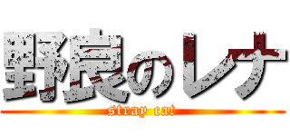 野良のレナ (stray cat)