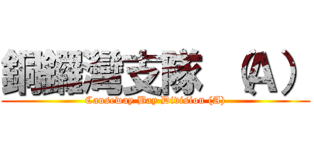 銅鑼灣支隊 （Ａ） (Causeway Bay Division (A))