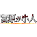 宮原が小人 (attack on titan)